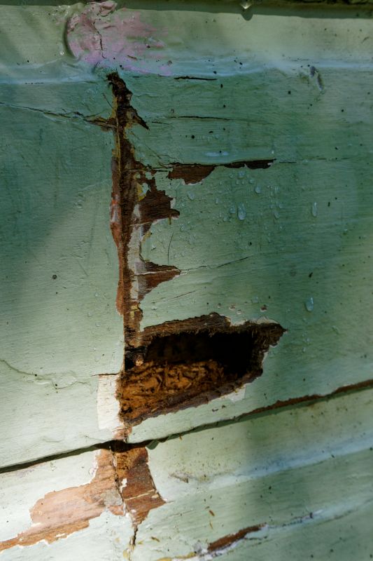 Signs of Water Damage