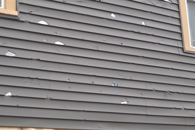 Siding Damage Inspection